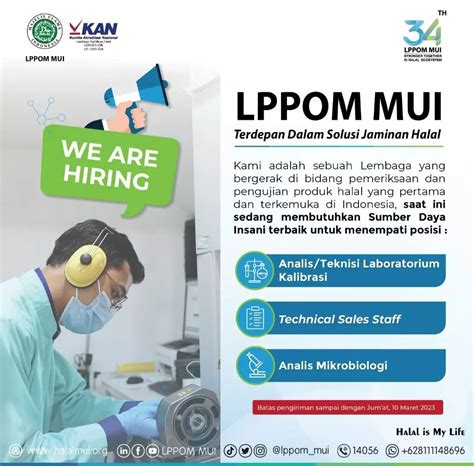 Lowongan Kerja Lppom Mui Untuk Tiga Posisi Berikut Infosumbar