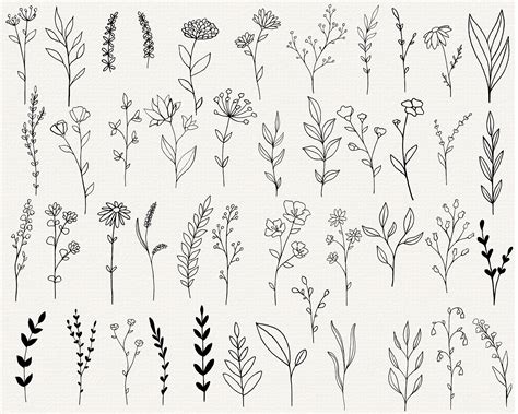 Wildflower Svg Bundle Botanical Elements Floral Line Art Etsy