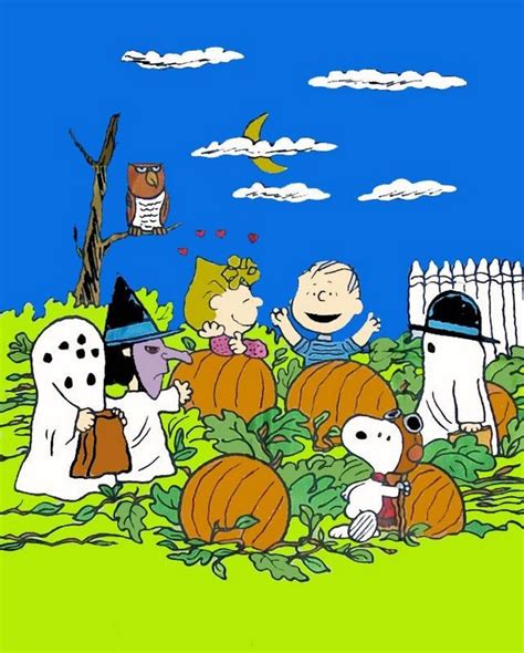 PEANUTS GANG HALLOWEEN Flag - RARE! | snoopn4pnuts.com