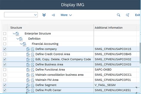 Sap Fico Enterprise Structure Diagram Organizational Sap Rep