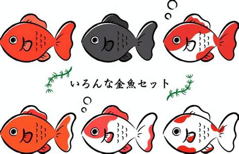 Free Vectors Various Goldfish Illustration Sets