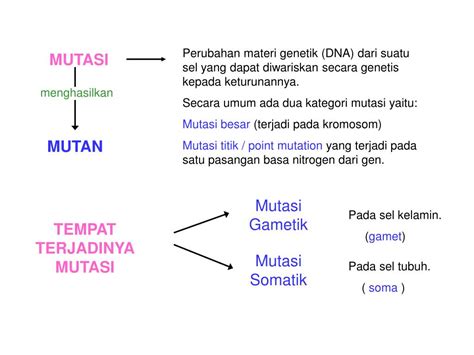 Ppt Bab 6 Mutasi Powerpoint Presentation Free Download Id2190721