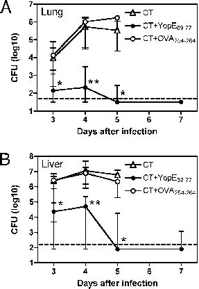 Intranasal Immunization With Yope Decreases Bacterial Burden