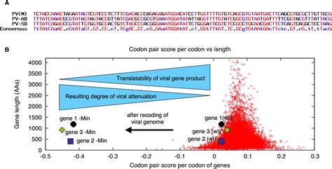 Putting Synthesis Into Biology A Viral View Of Genetic Engineering