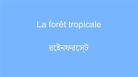 Apprendre Le Bengali Mots De Vocabulaire Et Phrases Youtube