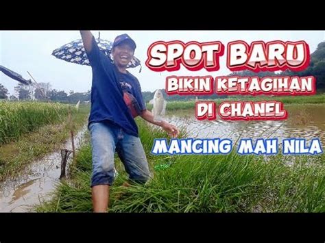 Spot Baru Bikin Ketagihan Ikan Nya Besar Besar YouTube