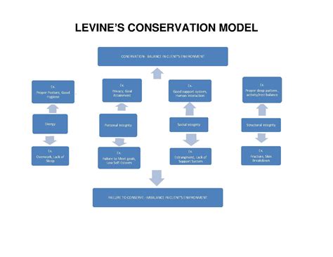 Myra Levine Conservation Model Psych Mental Health Np