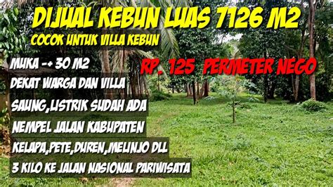 Dijual Kebun Luas M Nempel Jalan Kabupaten Cocok Untuk Bikin