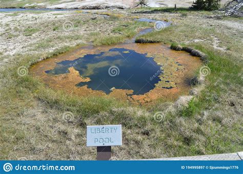 YELLOWSTONE NATIONAL PARK WYOMING JUNE 8 2017 Liberty Pool In