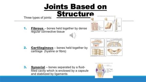 Joints Flashcards Quizlet