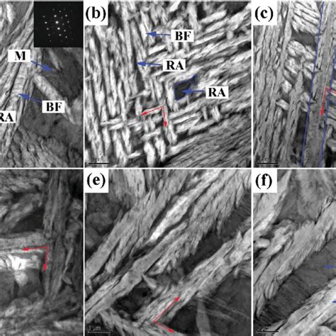 Sem Micrographs Showing Microstructures In Different Specimens A Download Scientific Diagram