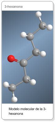 Nomenclatura De Cetonas Org Nic Chemistry