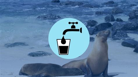 Can You Drink Tap Water In The Galapagos My Trip To Ecuador