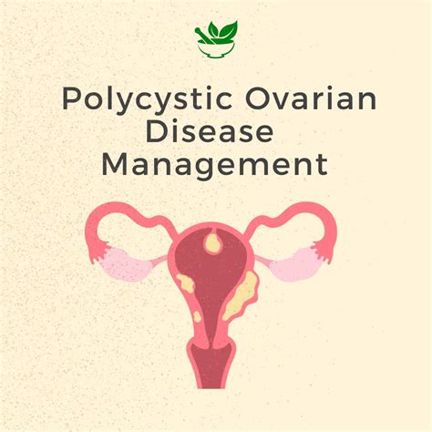 Polycystic Ovarian Disease Ayurvedic Mangement Days Pack