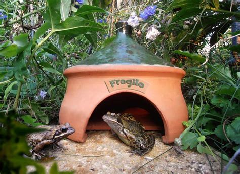 Frogilo frog and toad house | Eden Project Shop