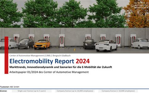 Globale Absatztrends Der Elektromobilit T Marktbilanz Und Ranking Der