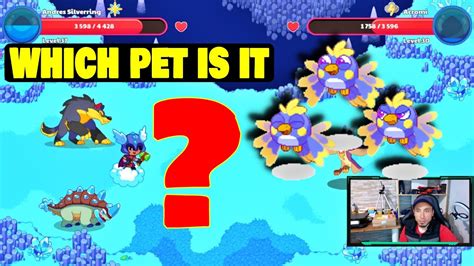 🐦 Rescue Pet Tribeak Prodigy Math Game Youtube