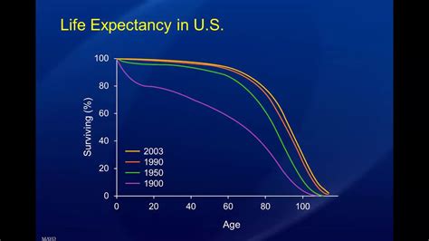 Marfan Syndrome Patient Life Expectancy Malena Strunk