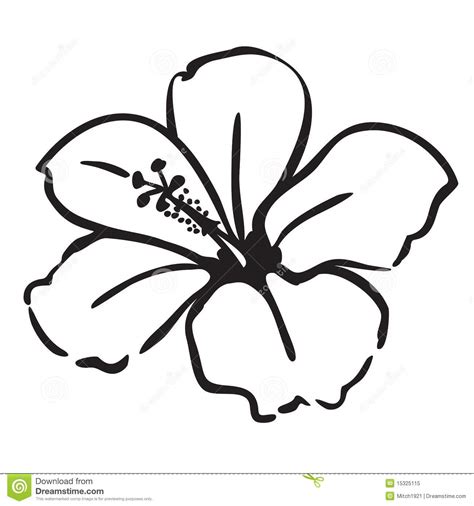 Hibiscus Flower Outline | Free download on ClipArtMag