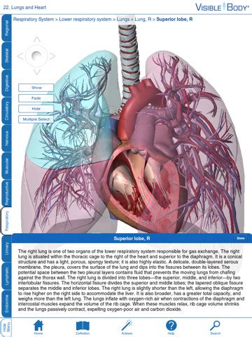 Visible Body Human Anatomy Atlas