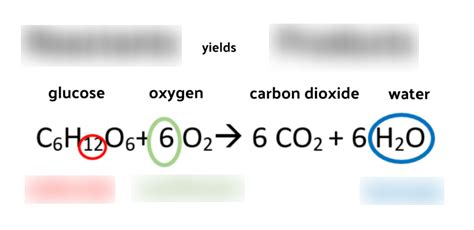 Conservation Of Matter Diagram Quizlet