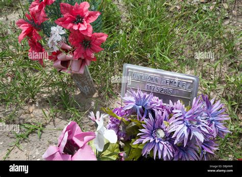 Falfurrias Texas Graves In Sacred Heart Cemetery Where The Remains