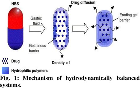 Figure 1 From A Review On Gastroretentive Drug Delivery System