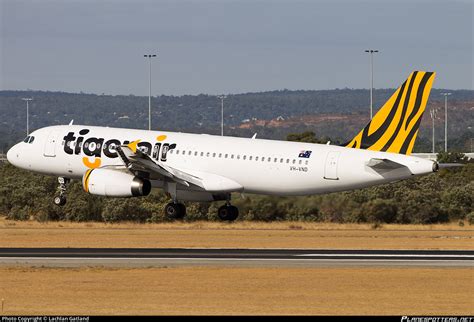 Vh Vnd Tigerair Australia Airbus A Photo By Lachlan Gatland Id