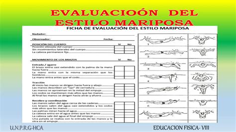 Evaluaci N Tecnica Estilo Mariposa Pptx