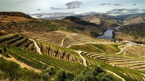 Gala Da Cidade Europeia Do Vinho Celebra E Homenageia Os Construtores