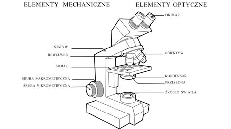 Budowa Mikroskopu