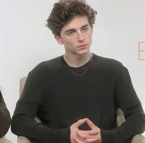 Pin de 𝒜 ౨ৎ em timothée chalamet ୨୧ em 2024 Cabelo