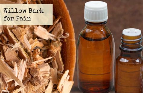 Willow Bark To Relieve Pain — The Sunshine Hustle