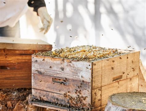 Premium Photo Bees Beekeeper And Honeycomb Box For Beekeeping And