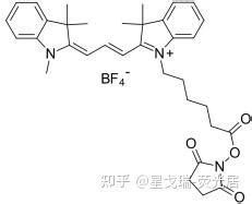 CY3 NHS ester脂溶性菁染料Cy3活性酯 星戈瑞 知乎