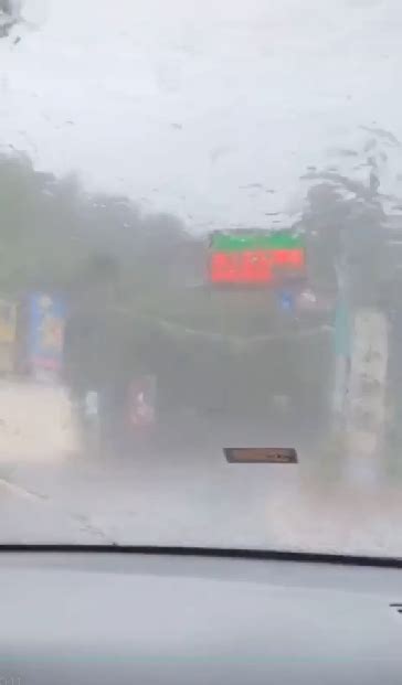 雨神發威了！清境農場暴雨夾冰雹 遊客全嗨翻｜東森新聞：新聞在哪 東森就在哪裡