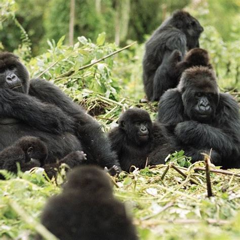 Game drives, Beach-hopping and Wine Tasting in Africa - 1st Afrika