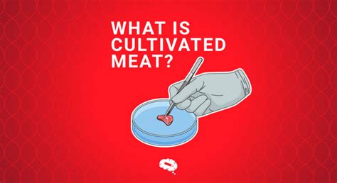 What is Cultivated Meat? A Guide to Lab-Grown Meat