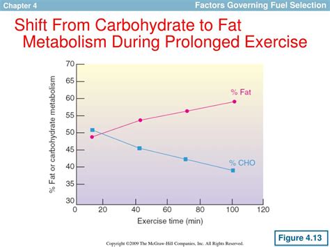 PPT - Exercise Metabolism PowerPoint Presentation, free download - ID ...