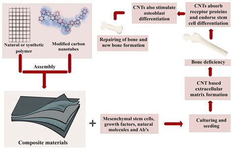 Ijms Free Full Text Recent Developments In Polymer Nanocomposites