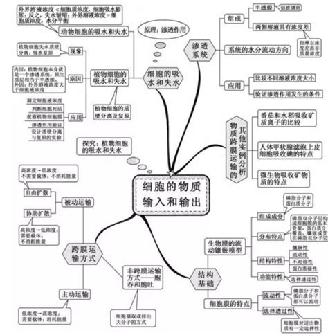 生物七年级上册思维导图怎么画？生物思维导图整理知犀官网