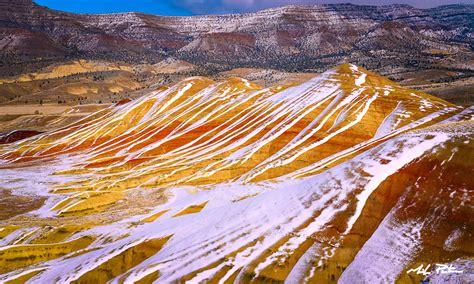 Are Dogs Allowed At Painted Hills Oregon