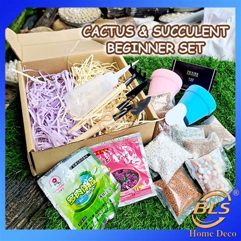 Cactus Succulent Beginner Set Bundle Set Gift Box Clay Pot Perlite