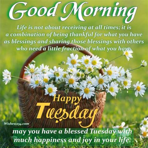 120 Tuesday Quotes And Blessings With Images To Stay Motivated Tuesday Quotes Tuesday Quotes