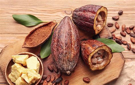 Peclavus Theobroma Cacao Seed Butter Inhaltsstofflexikon Peclavus De