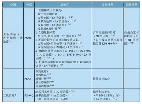 我國自主研發的替雷利珠單抗為肺鱗癌患者提供新的免疫治療選擇 每日頭條