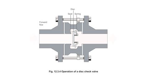 Learn About Steam Check Valves Spirax Sarco