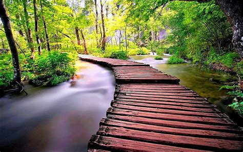 Wooden Walkway Water River Trees Bridge Hd Wallpaper Peakpx