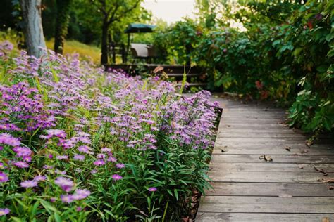 How To Make A Small Garden Seem Bigger Legacy Edging