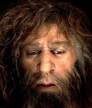 El Sidrón apunta la endogamia de los neandertales El Comercio